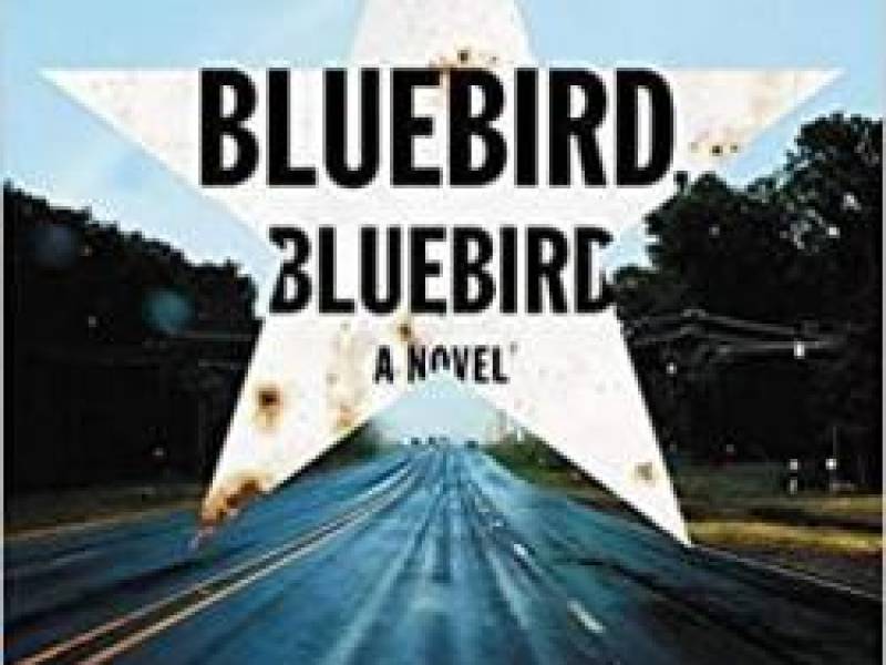 cvt_bluebird-bluebird_6397.jpg