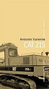 cat215.jpeg