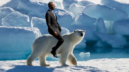 obama_bear.jpg, fév. 2017 obama_bear.jpg