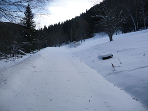 P1070545.JPG