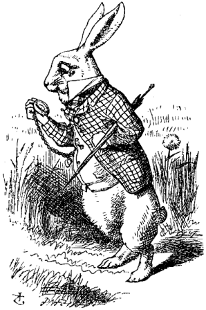 Down_the_Rabbit_Hole.png, déc. 2017 Down_the_Rabbit_Hole.png