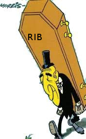 rib.jpeg