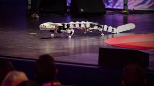 salamandrerobot.jpeg