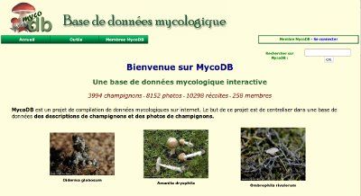 mycodb.jpg