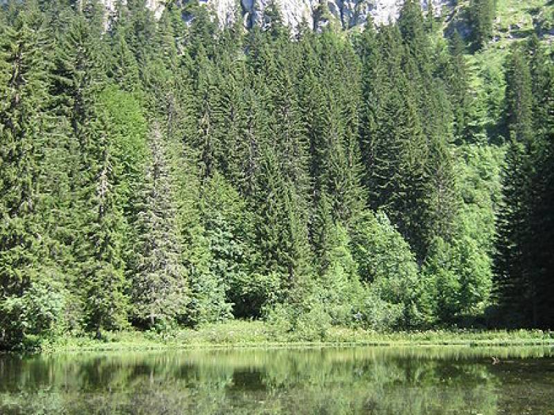 lac-petetoz1.jpg lac-petetoz1.jpg