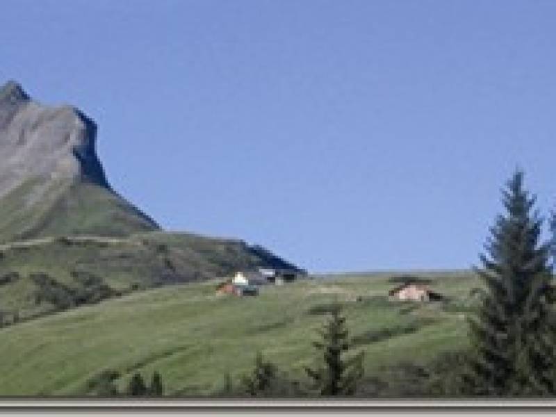 plateaubenes.jpg plateaubenes.jpg